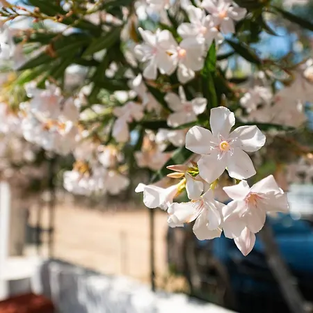 Σπίτι διακοπών Casa Keka *